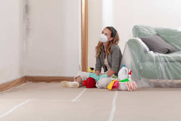 Reliable Mold Remediation contractor in Plano, TX by Mold Remediation HQ